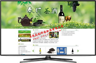 松江網(wǎng)站建設(shè)專業(yè)服務(wù) 打造卓越網(wǎng)站，助力企業(yè)線上飛躍